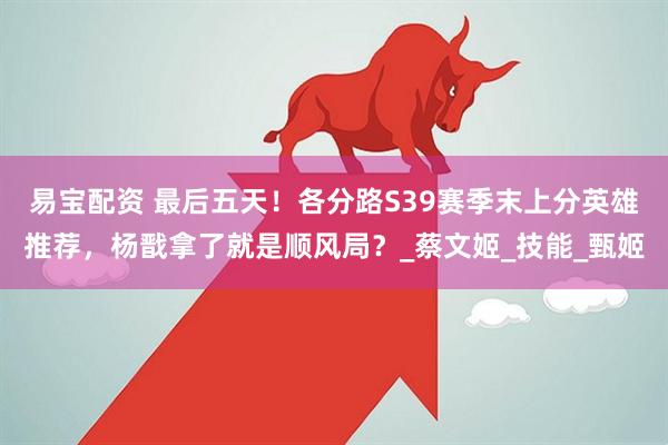 易宝配资 最后五天！各分路S39赛季末上分英雄推荐，杨戬拿了就是顺风局？_蔡文姬_技能_甄姬